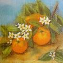 147 Lemons,  Oranges - 3-ply